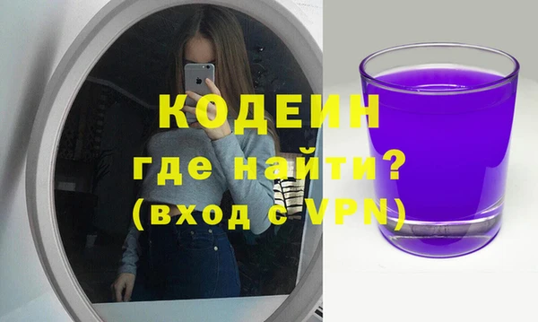 хмурый Арсеньев