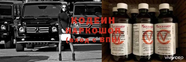хмурый Арсеньев