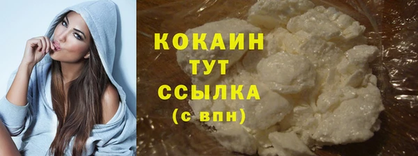 хмурый Арсеньев