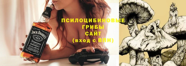 хмурый Арсеньев