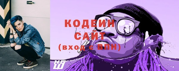 хмурый Арсеньев
