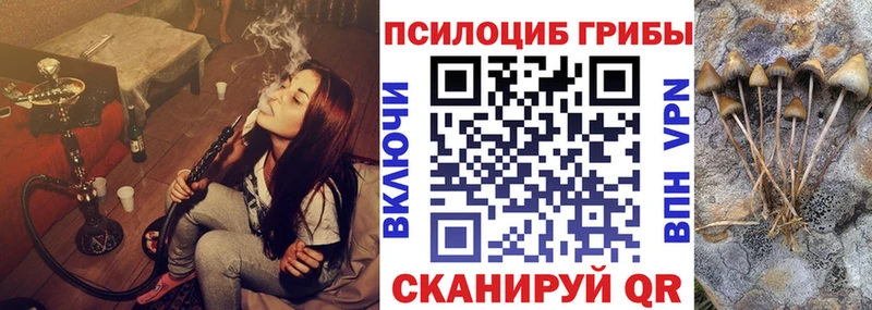 Псилоцибиновые грибы Cubensis Кочубеевское